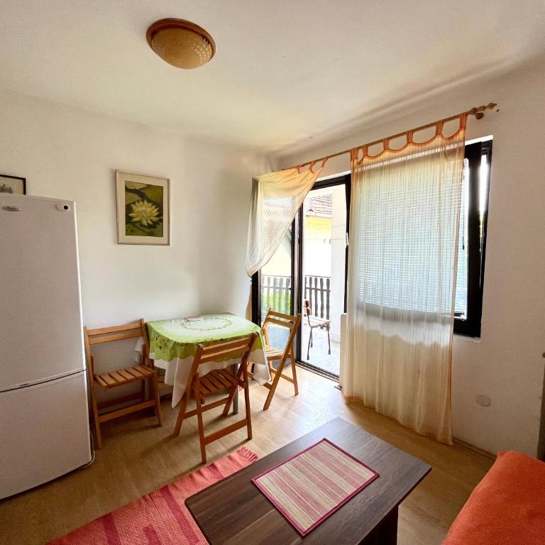 Apartments and rooms Villa Mačva - Banja Koviljača - Apartman sa Terasom - 61