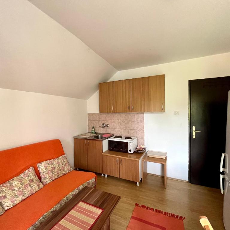 Apartments and rooms Villa Mačva - Banja Koviljača - Apartman sa Terasom - 63