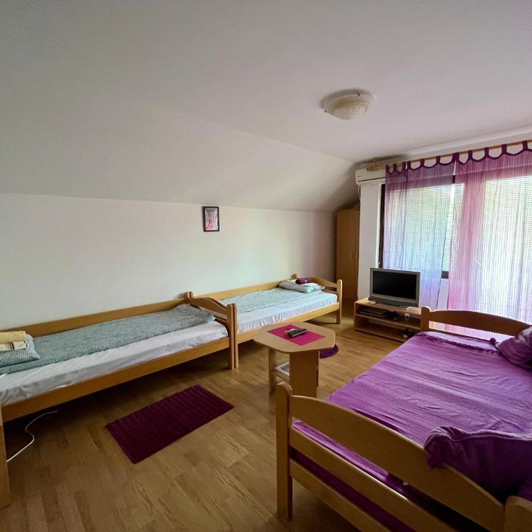 Apartments and rooms Villa Mačva - Banja Koviljača - Apartman sa Terasom - 69