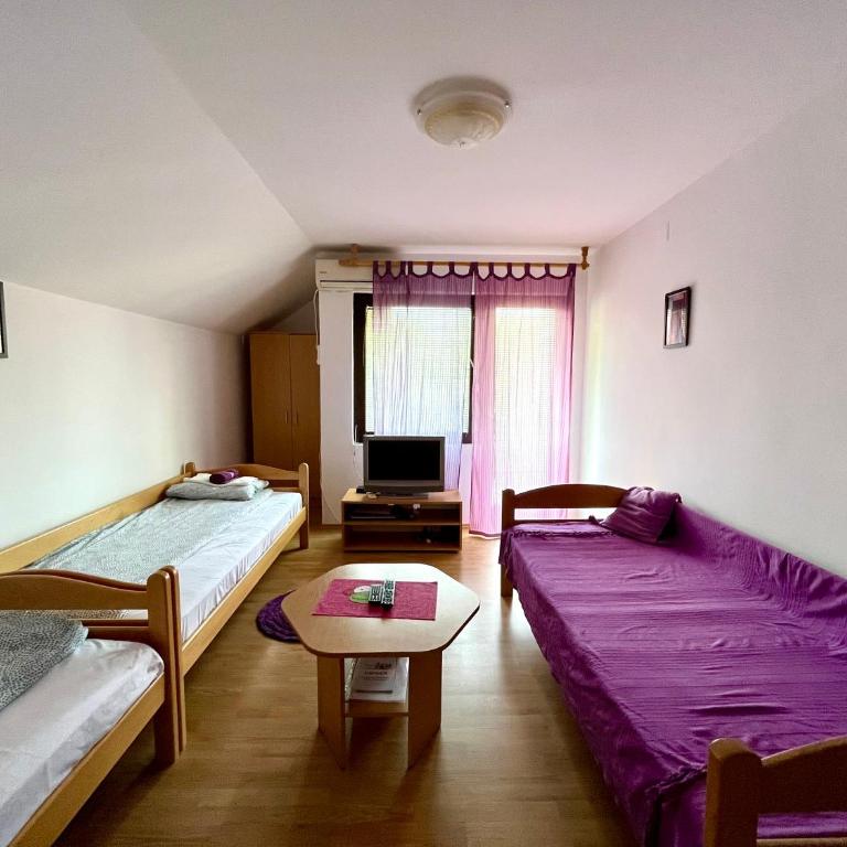 Apartments and rooms Villa Mačva - Banja Koviljača - Apartman sa Terasom - 70