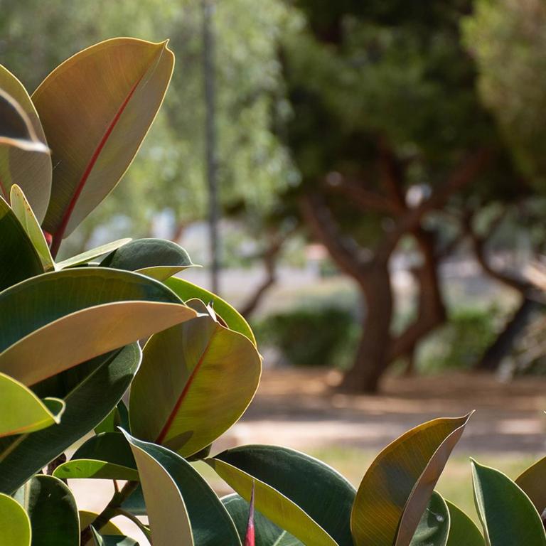 Little gem in Villajoyosa - Apartamento de 3 dormitorios - 12