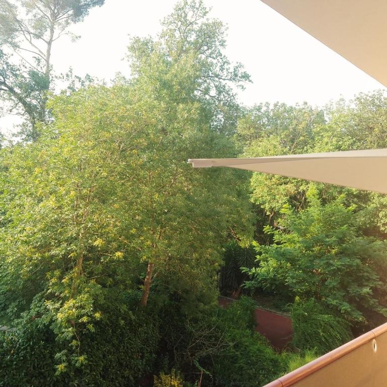 Grand Studio Parc de Vaugrenier - Climatiseur - Terrasse - Piscine - Studio - 17