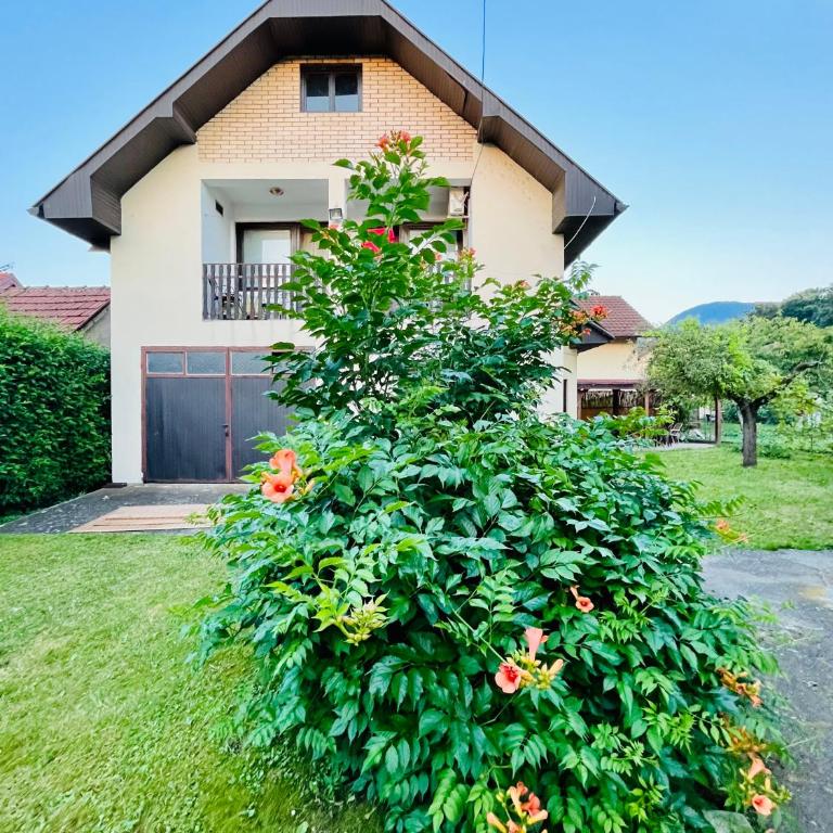 Apartments and rooms Villa Mačva - Banja Koviljača - Apartman - Prizemlje - 62