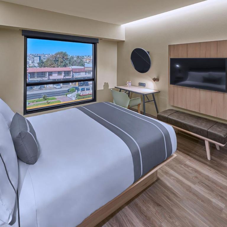 City Express Plus by Marriott Tijuana - Queen Room - 1