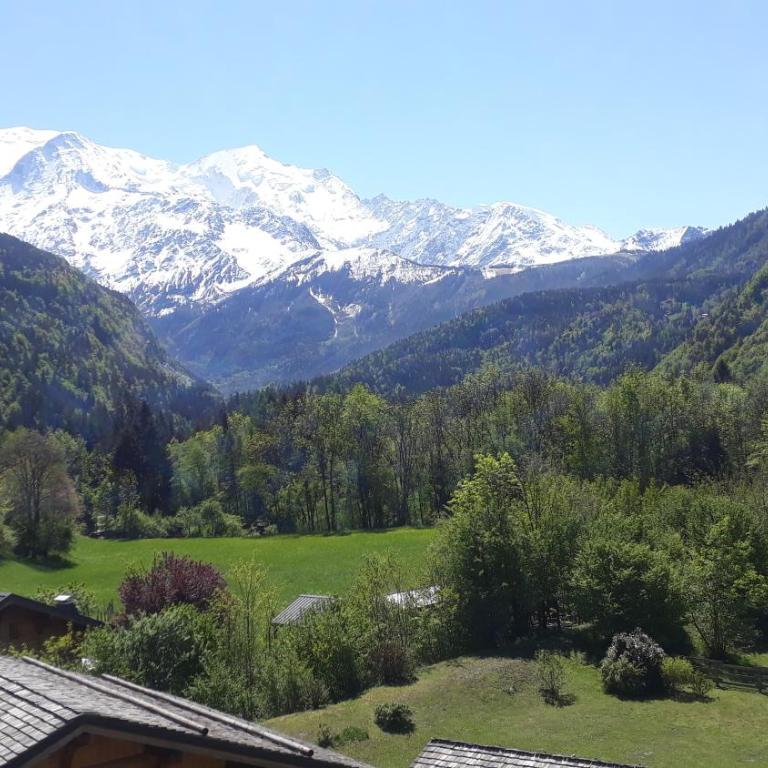 Résidence Les Jorasses - Studio - Vue sur Montagne - 11
