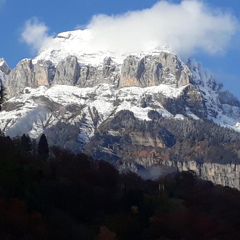 Résidence Les Jorasses - Studio - Vue sur Montagne - 26