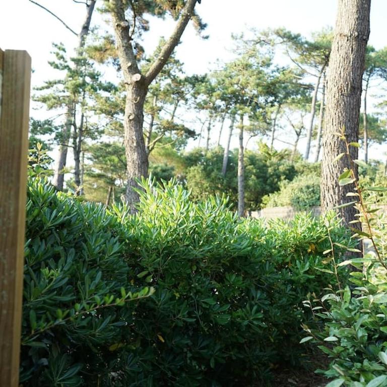 * Jolie villa patio près de la plage des Bourdaines * - Appartement 2 Chambres - 37