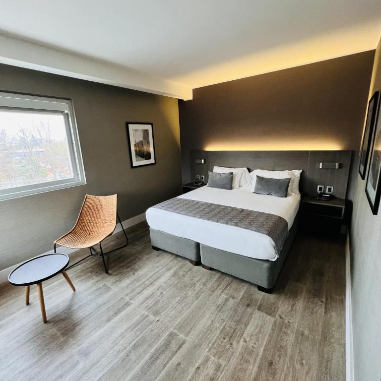 Radisson Hotel Curico - King Studio Suite - Non-Smoking - 5