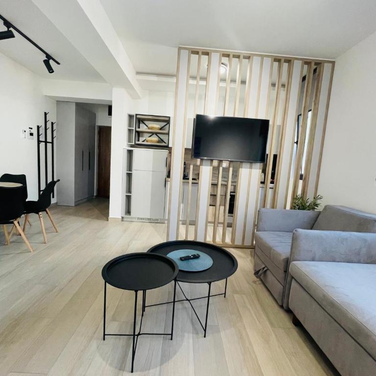 Dora Family Apartments Budva - Apartman sa 1 Spavaćom Sobom - 9