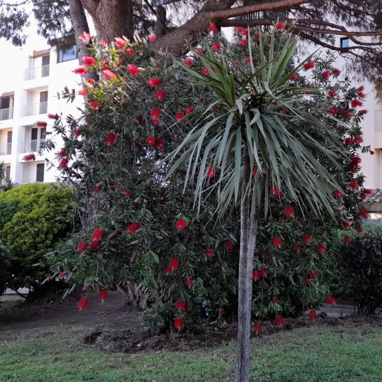 Marina Bella - Apartment mit 1 Schlafzimmer - 39