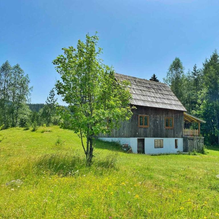 Vukov Konak - Wolf's lodge - Dvokrevetna Soba sa Bračnim Krevetom - 19