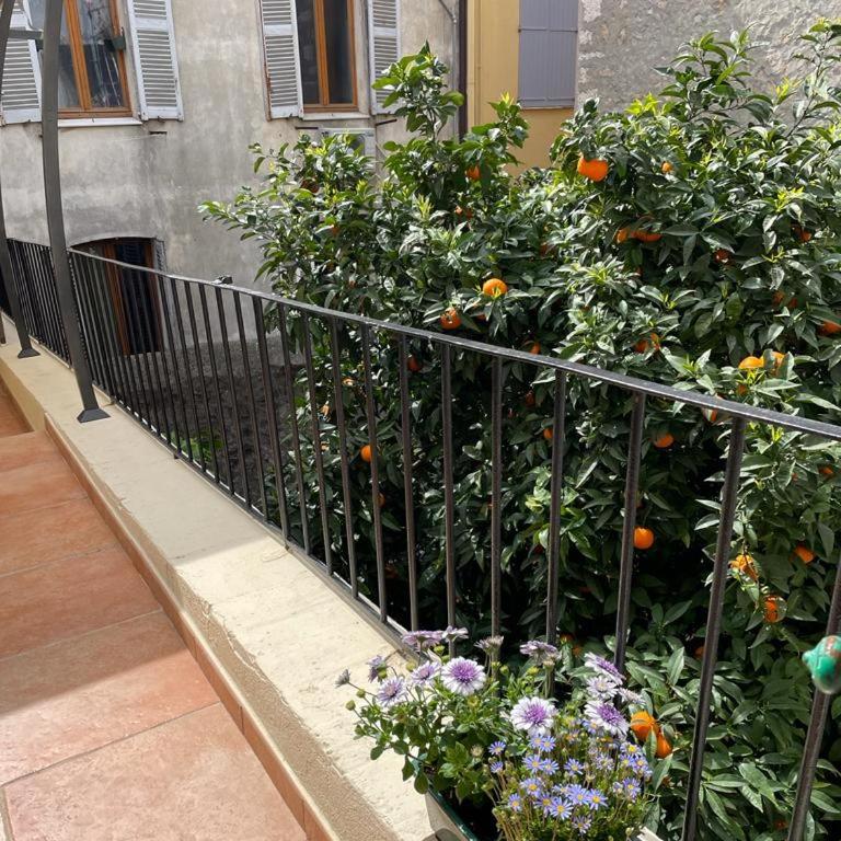 Appartements climatisés - Vieil Antibes - Appartement avec Terrasse - 2