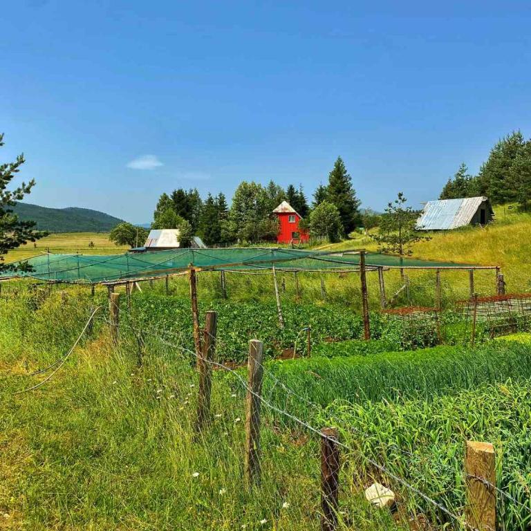 Vukov Konak - Wolf's lodge - Dvokrevetna Soba sa Bračnim Krevetom - 54