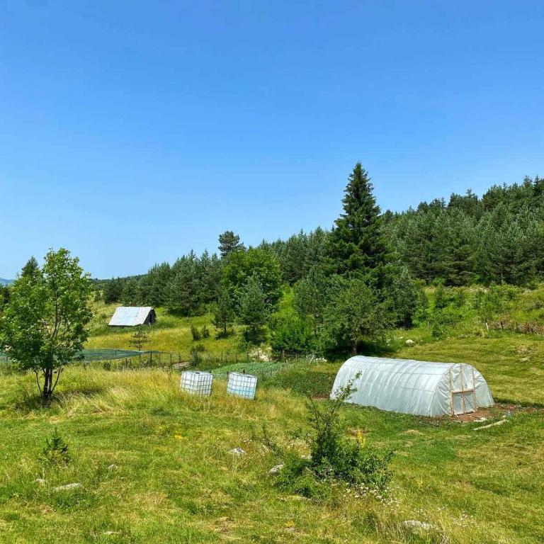 Vukov Konak - Wolf's lodge - Dvokrevetna Soba sa Bračnim Krevetom - 53