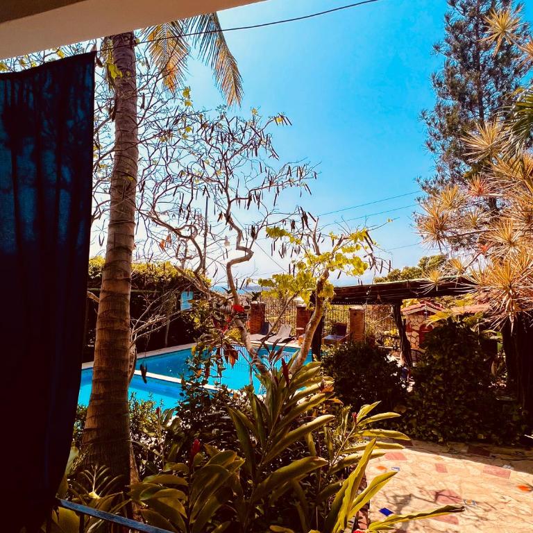 Casa Terranova - Bungalow Deluxe con vistas al jardín - 4