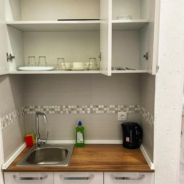 Apartmani Vila Milaris - Deluks Studio - 15