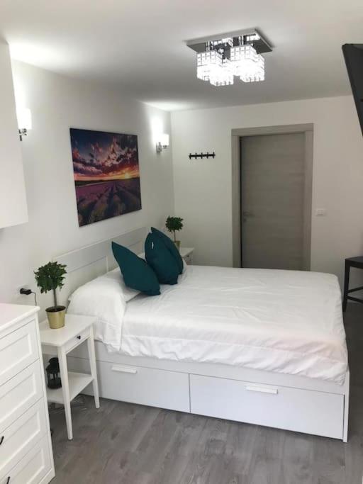 Premium apartment city center trieste - Appartamento con 1 Camera da Letto - 14