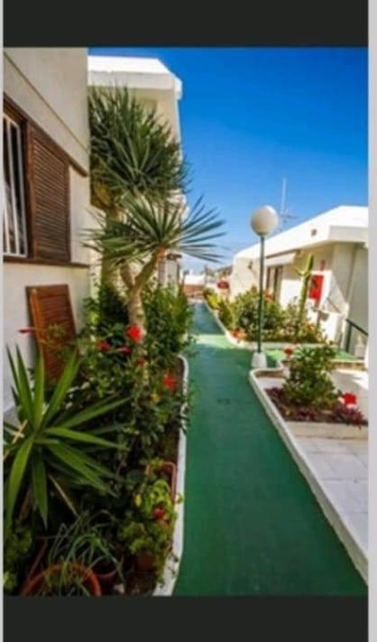 Puerto Rico Savage 3 One o Two Rooms - Apartamento de 2 dormitorios - 28