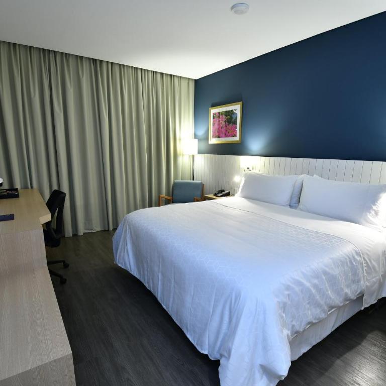 Holiday Inn Express Asuncion Aviadores by IHG - Habitación Estándar - Cama extragrande - 5