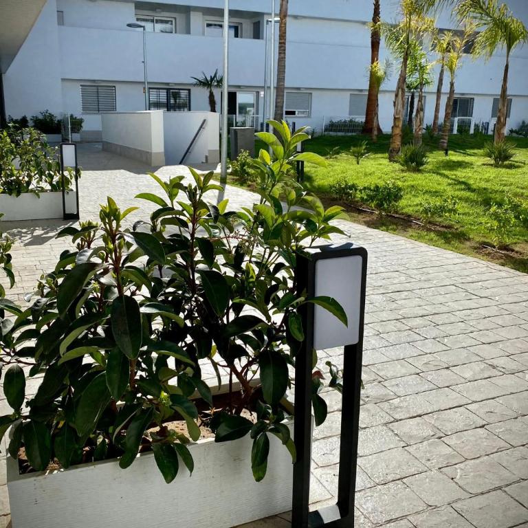 MyChoice Frida - Apartamento con terraza - 11