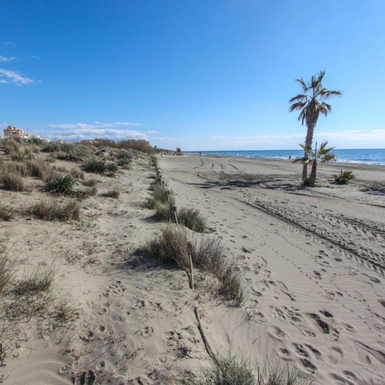 Ático frontal al mar en Duna Beach con vistas - Apartamento de 2 dormitorios - 60