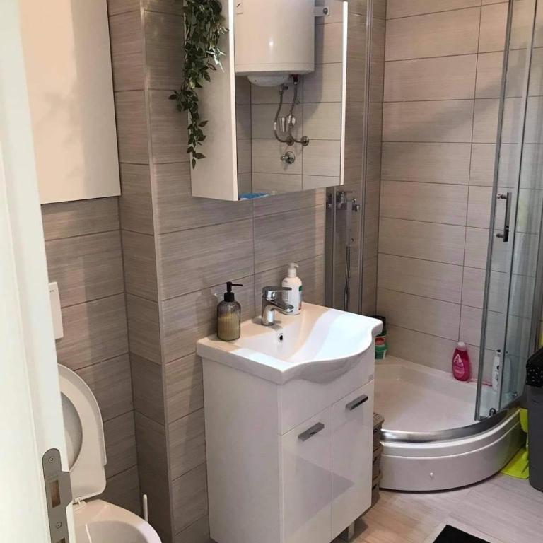 Luxury apartments - Otoka Sarajevo - Double Room with Park View - 8