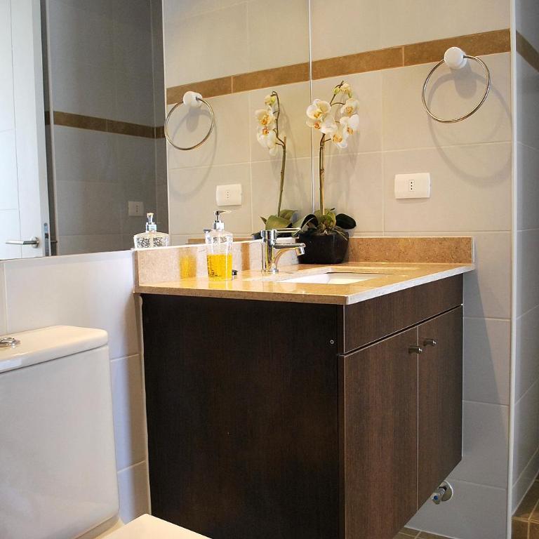 Apartamento Virgilio Arias - Apartamento de 1 dormitorio - 14