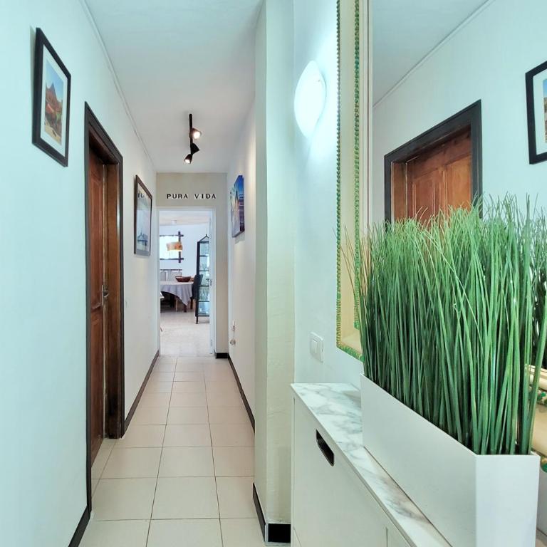 Pura Vida - Apartamento de 2 dormitorios - 30
