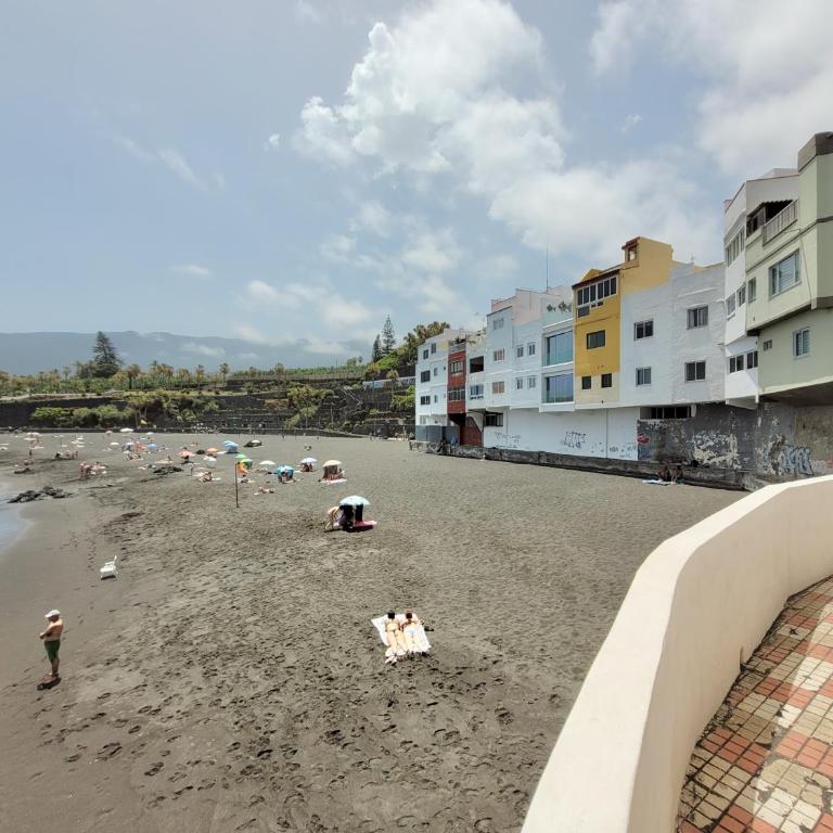 Pura Vida - Apartamento de 2 dormitorios - 17