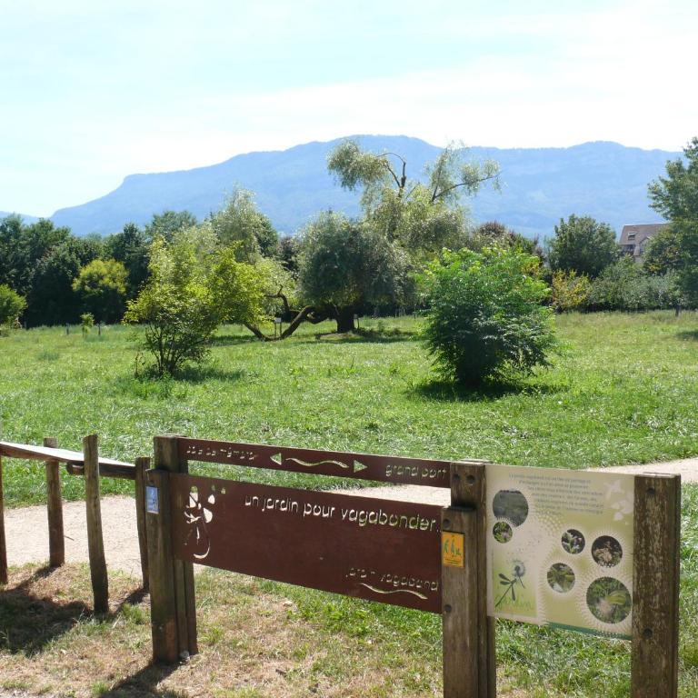 Shayton Natura - Apartamento de 1 dormitorio - 12