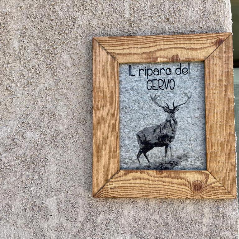 La Maison - Il Riparo del Cervo - Appartamento con 1 Camera da Letto - 52