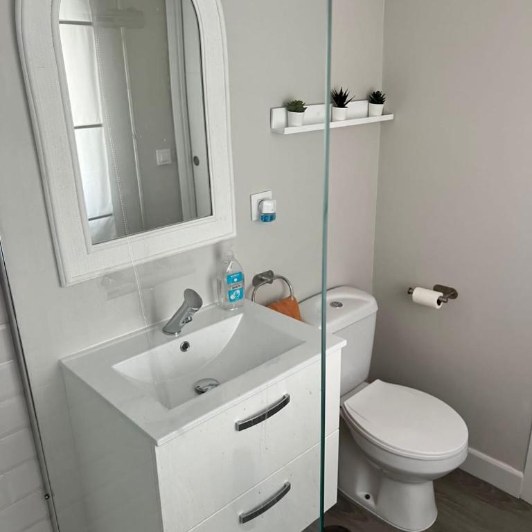Rodrigo - Apartamento de 1 dormitorio - 9