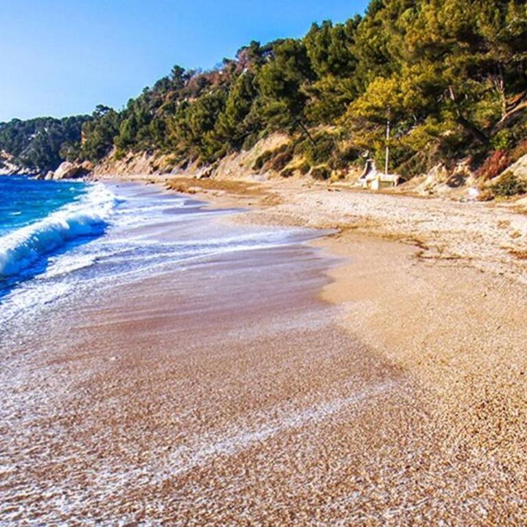 Paradis Varois, paradise, calme, parking gratuit, arboré - Two-Bedroom Apartment - 8