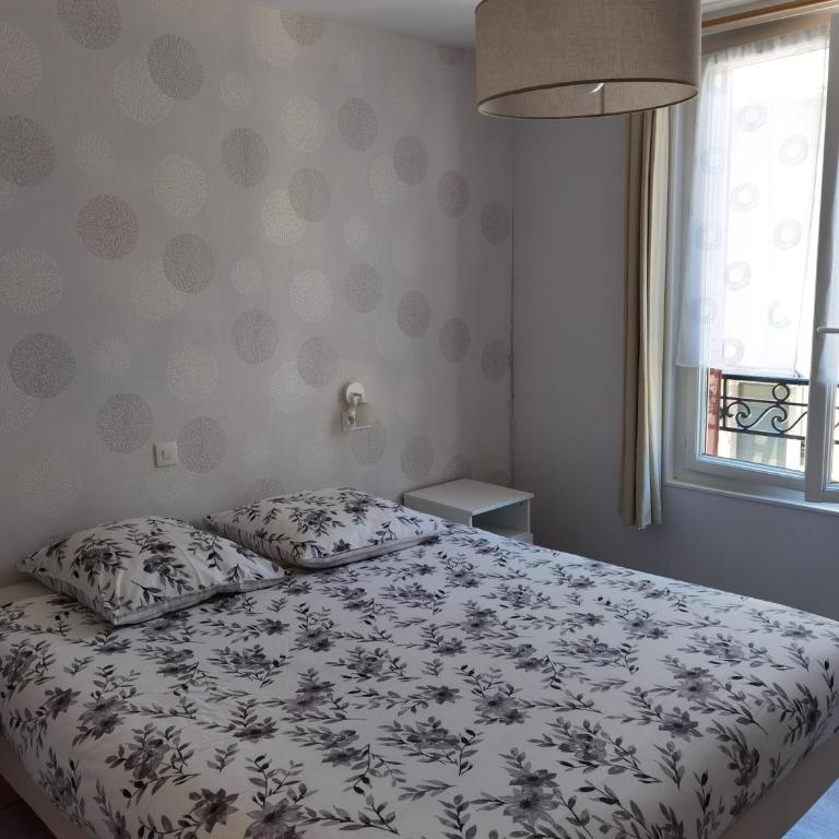 Les Camélias - Apartment Puy de Baladou - 8