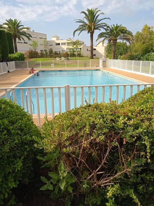 Antibes Quiet studio air-condit-swim. pool tennis - Apartment mit 1 Schlafzimmer - 7