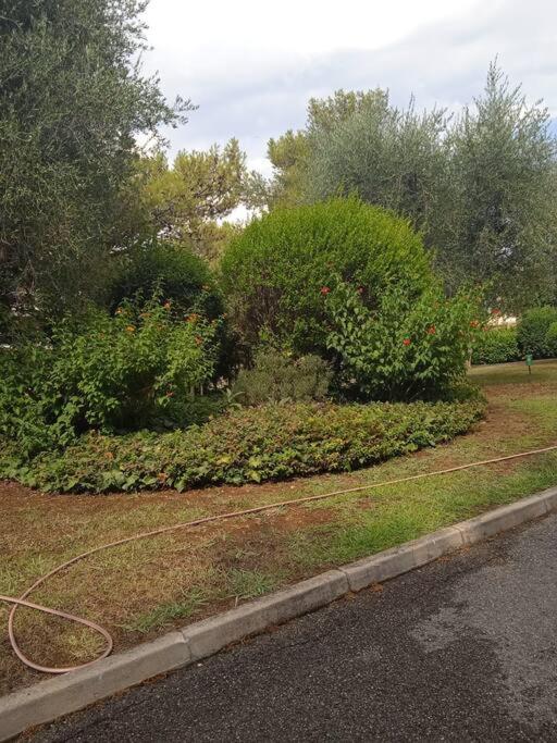 Antibes Quiet studio air-condit-swim. pool tennis - Apartment mit 1 Schlafzimmer - 13