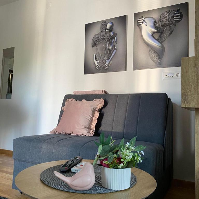 Orca Apartman - Apartman sa 1 Spavaćom Sobom - 1