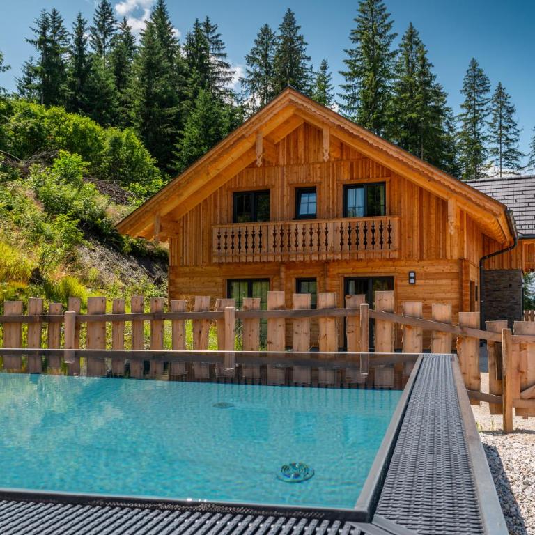 Poolchalet Dachsteinblick - Chalet - 2