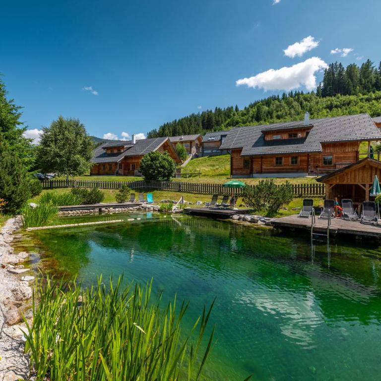 Poolchalet Dachsteinblick - Chalet - 52
