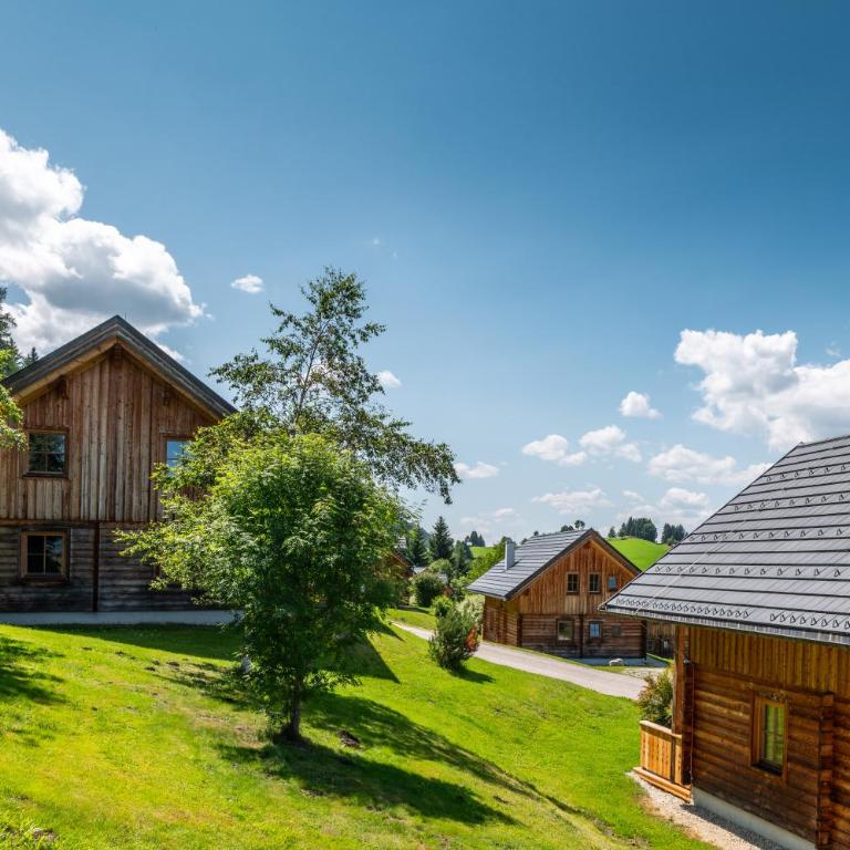 Chalet Dachsteinblick - Chalet - 61