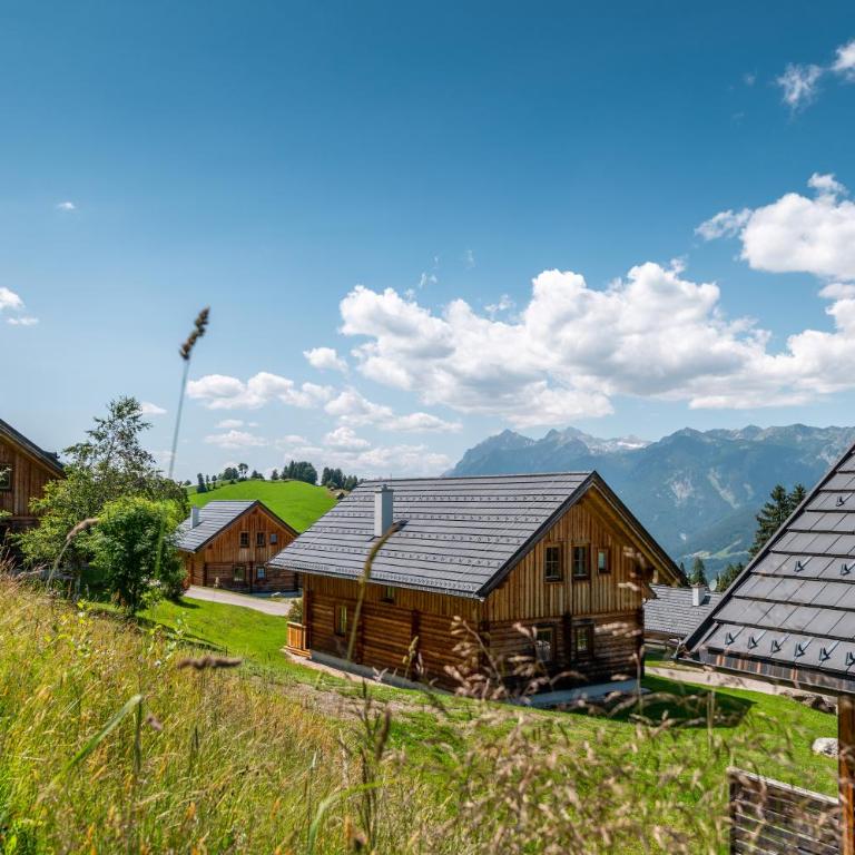 Chalet Dachsteinblick - Chalet - 59