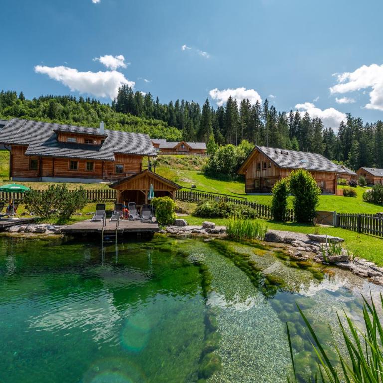 Chalet Dachsteinblick - Chalet - 66