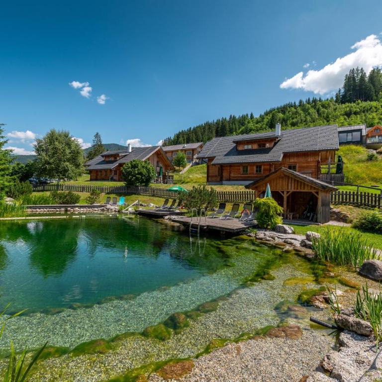 Chalet Dachsteinblick - Chalet - 62