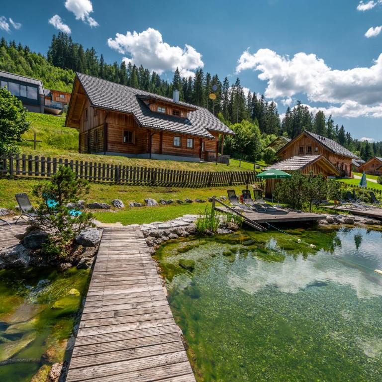 Chalet Dachsteinblick - Chalet - 63