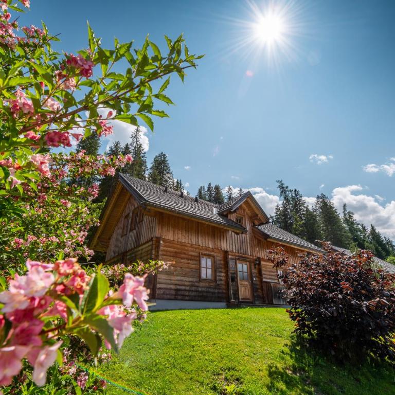 Chalet Dachsteinblick - Chalet - 9