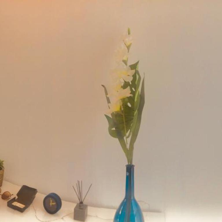 PENTHOUSE INDEPENDIENTE a 3 paradas en metro de ATOCHA (estacion central Madrid) - Estudio - 14