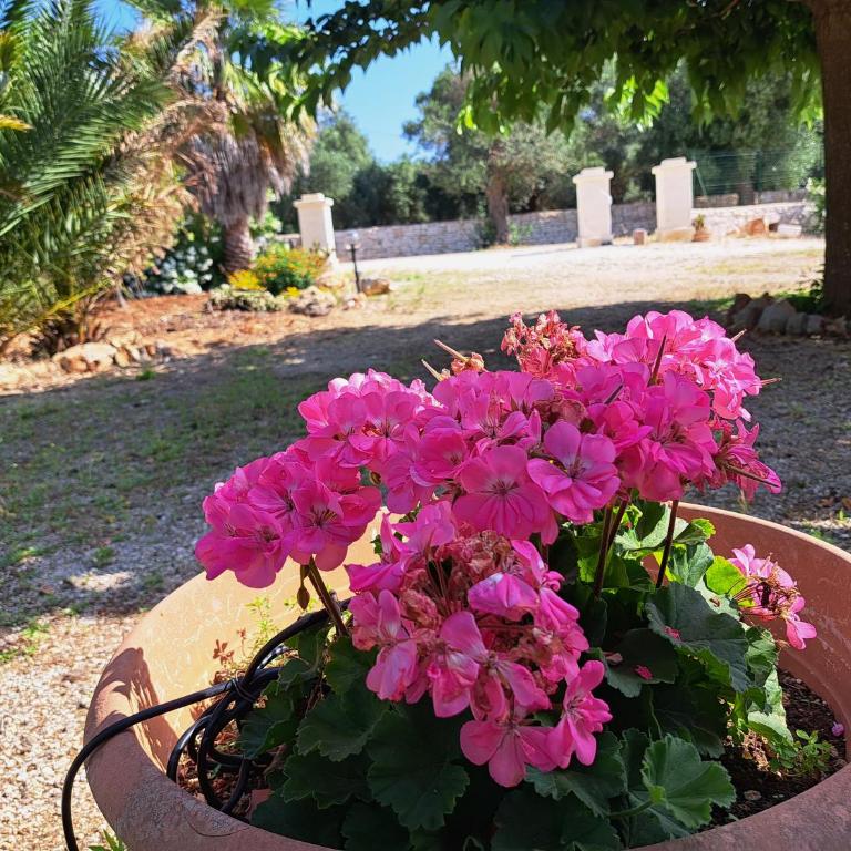 Case Vacanza Villa Bianca - Casa Vacanze - 44
