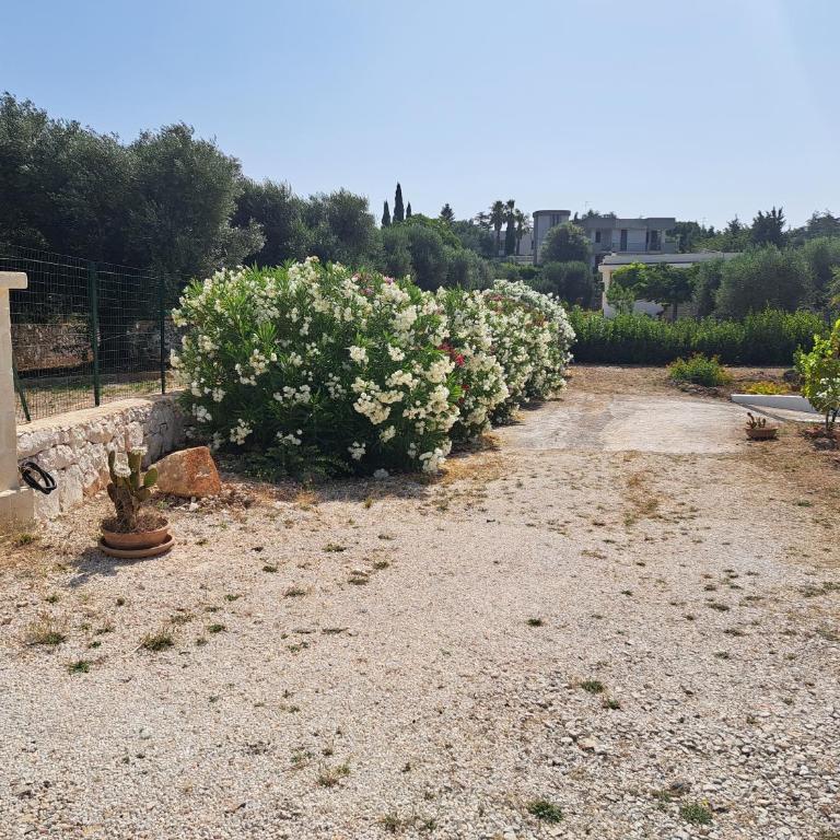Case Vacanza Villa Bianca - Casa Vacanze - 46