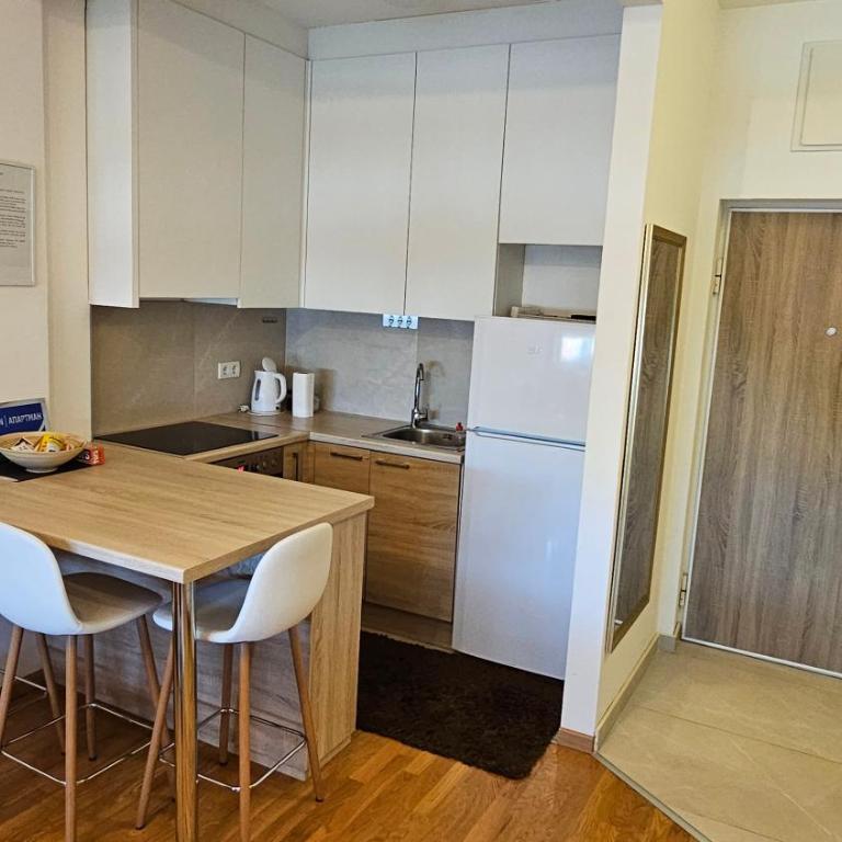 Apartman Filipović - Apartman sa 1 Spavaćom Sobom - 17
