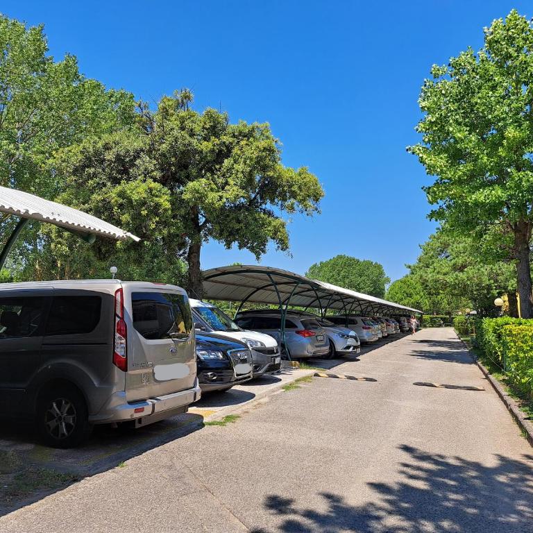 Adriella apartments - One-Bedroom Apartment with Terrace - 35